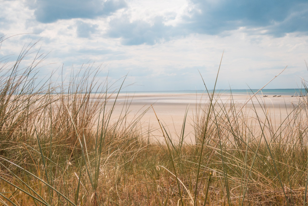 Dünenlandschaft an der Nordsee als möglicher Ort für eine Seebestattung